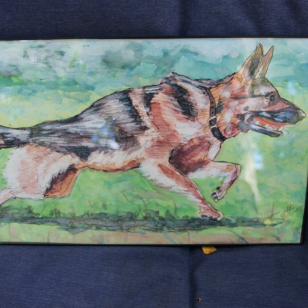 Watercolor and sketch of German Shepard